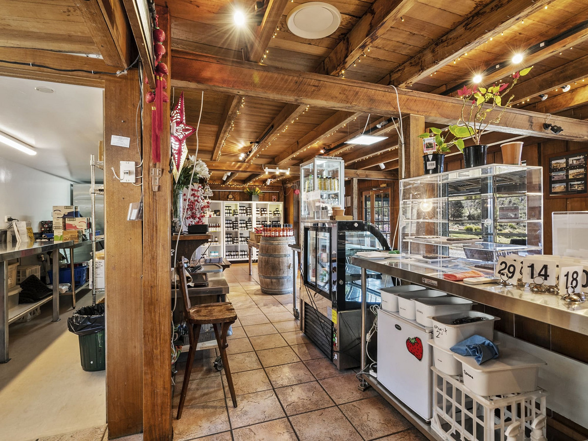 12 Addison Street, Swansea, TAS, 7190 - Image 19