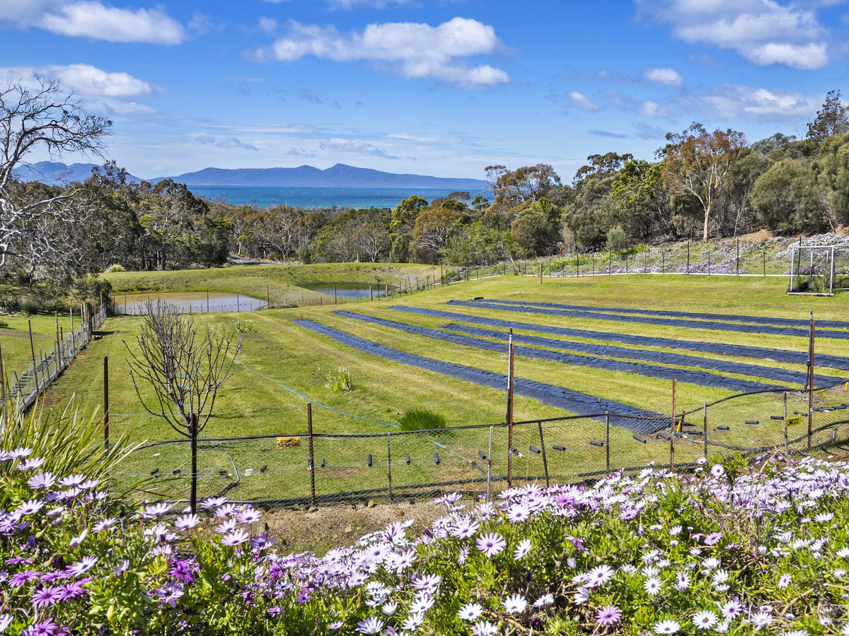 12 Addison Street, Swansea, TAS, 7190 - Image 26