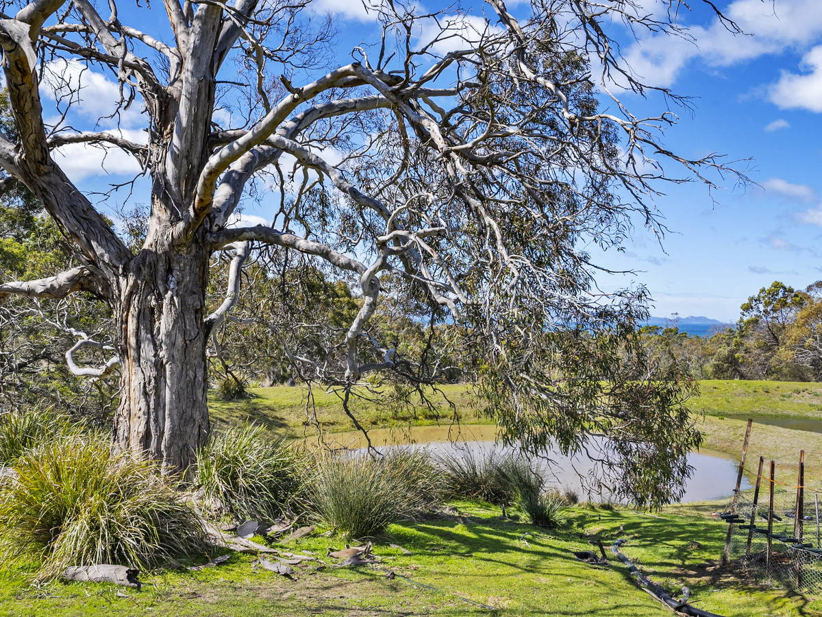 12 Addison Street, Swansea, TAS, 7190 - Image 28