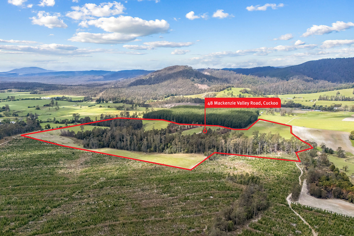48 Mackenzie Valley Road, Cuckoo, TAS, 7260 - Image 32