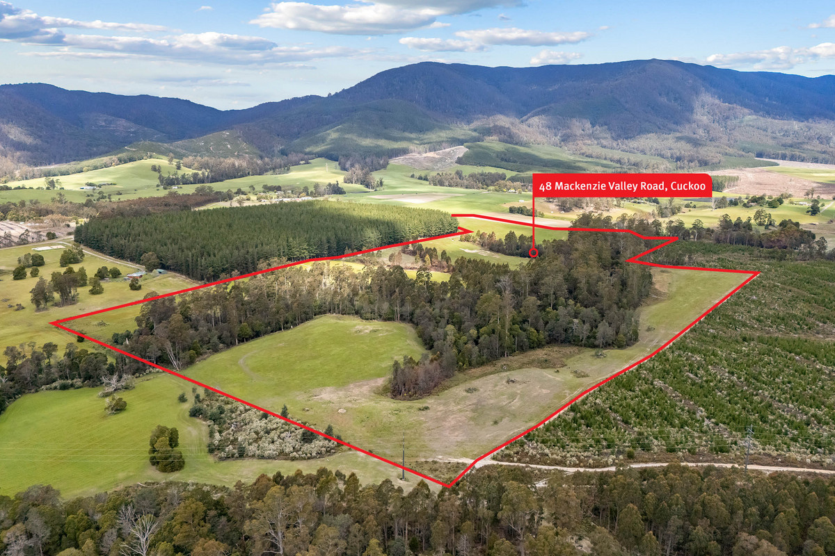 48 Mackenzie Valley Road, Cuckoo, TAS, 7260 - Image 1