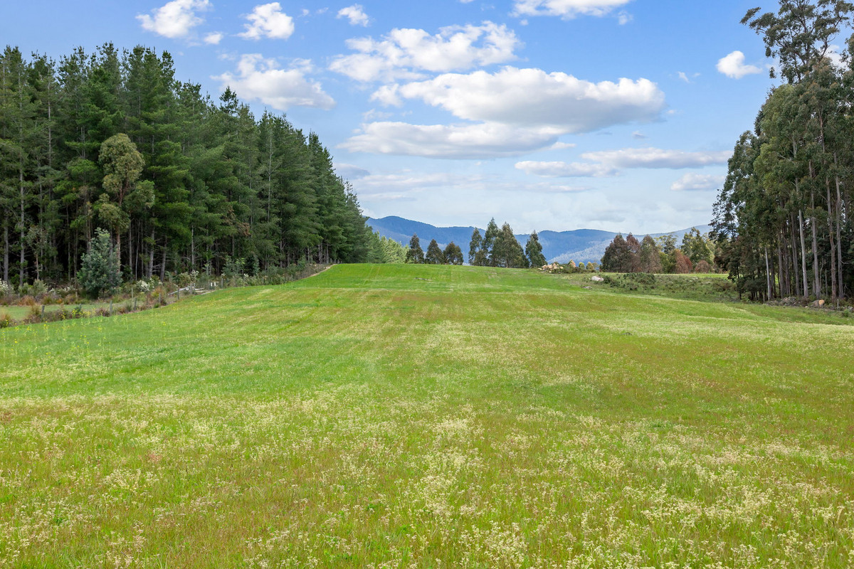 48 Mackenzie Valley Road, Cuckoo, TAS, 7260 - Image 7