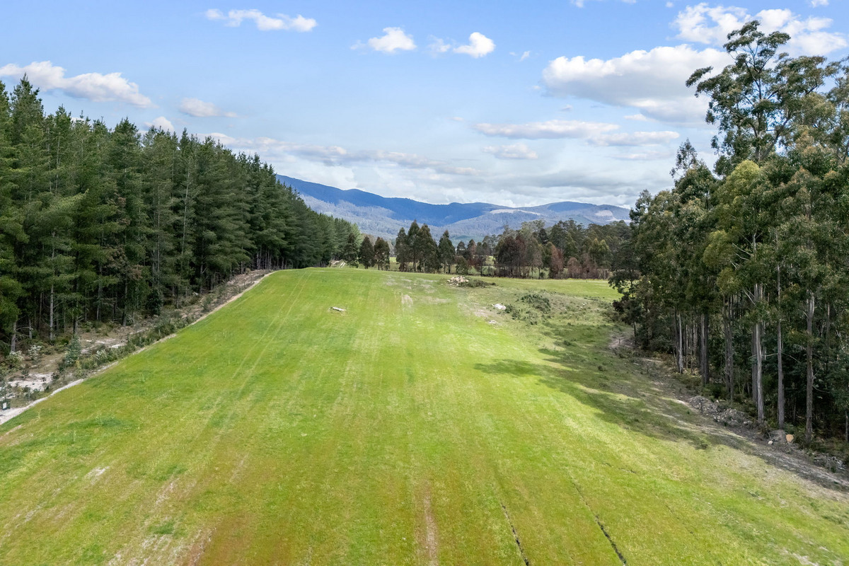 48 Mackenzie Valley Road, Cuckoo, TAS, 7260 - Image 15