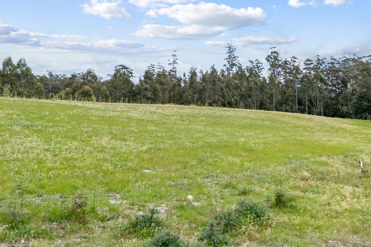 48 Mackenzie Valley Road, Cuckoo, TAS, 7260 - Image 14