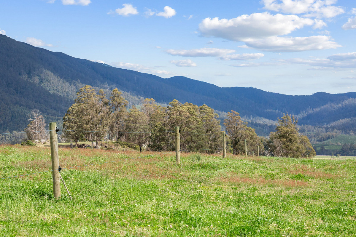 48 Mackenzie Valley Road, Cuckoo, TAS, 7260 - Image 22