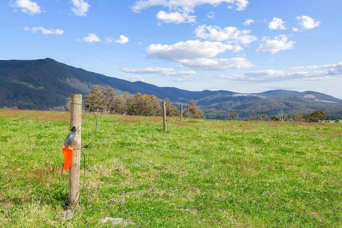 48 Mackenzie Valley Road, Cuckoo, TAS, 7260 - Image 13