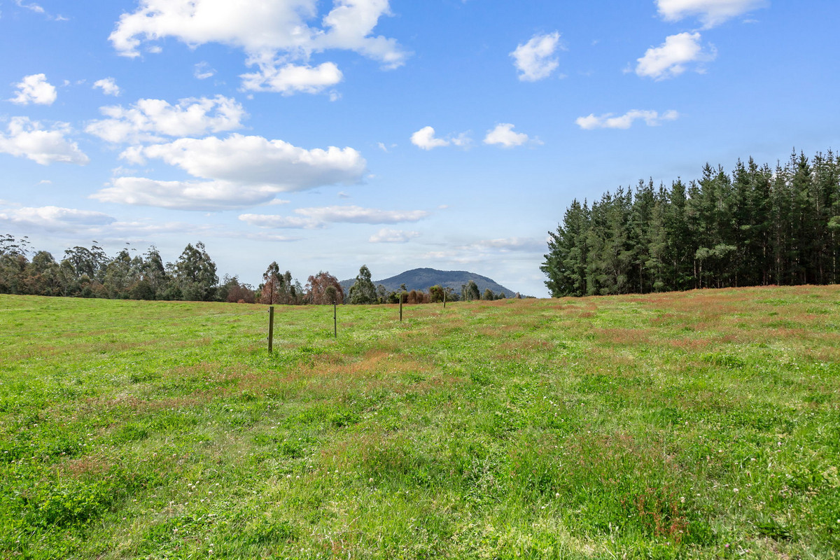 48 Mackenzie Valley Road, Cuckoo, TAS, 7260 - Image 21