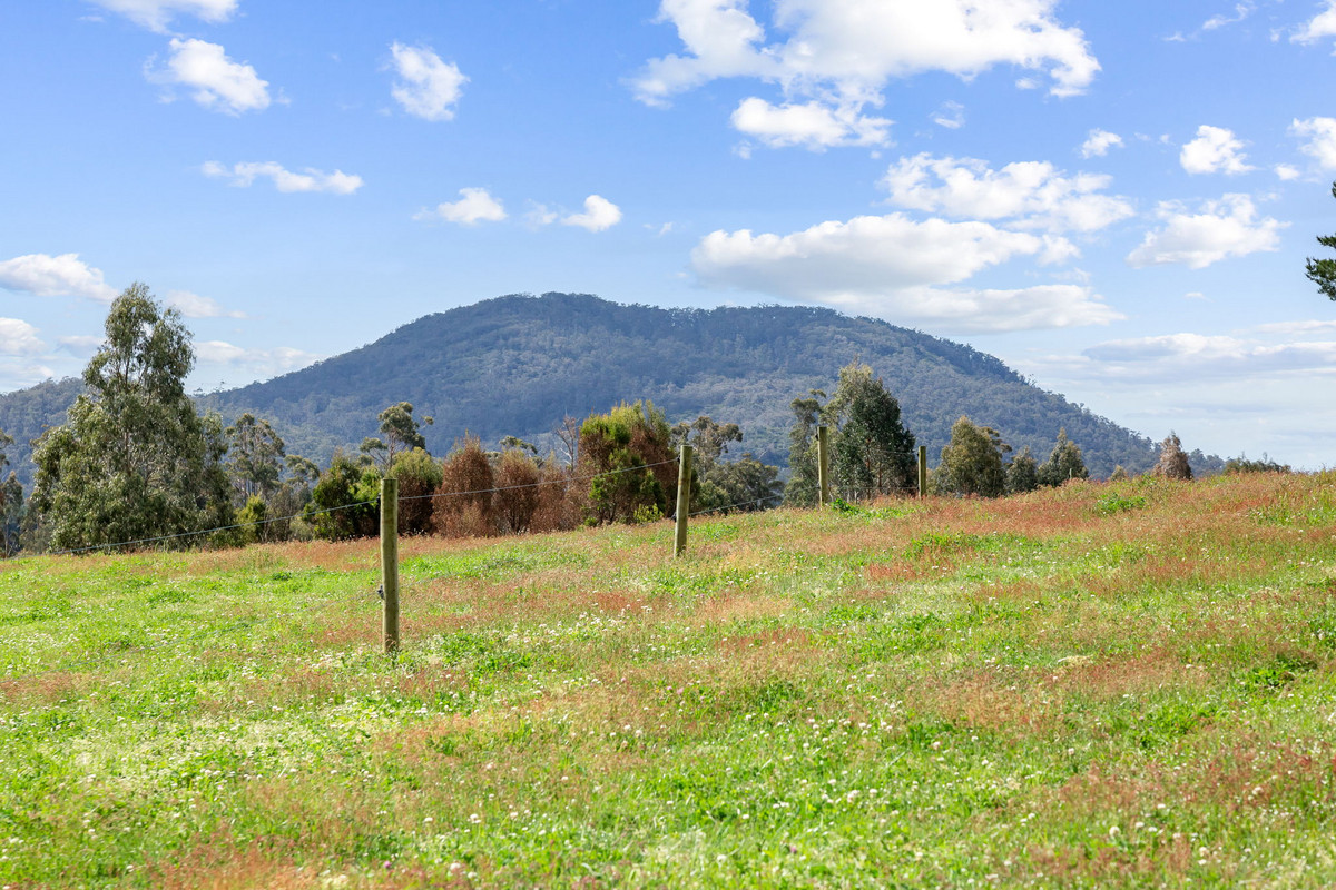 48 Mackenzie Valley Road, Cuckoo, TAS, 7260 - Image 23