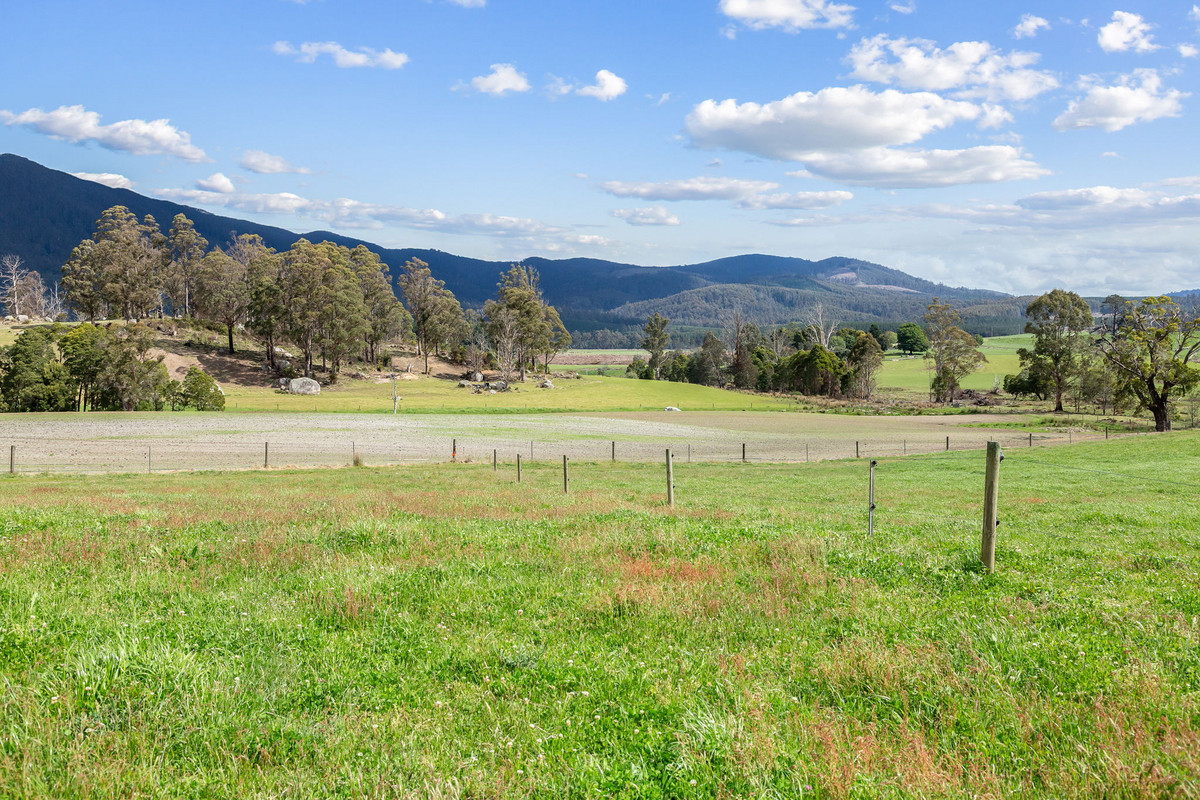 48 Mackenzie Valley Road, Cuckoo, TAS, 7260 - Image 24