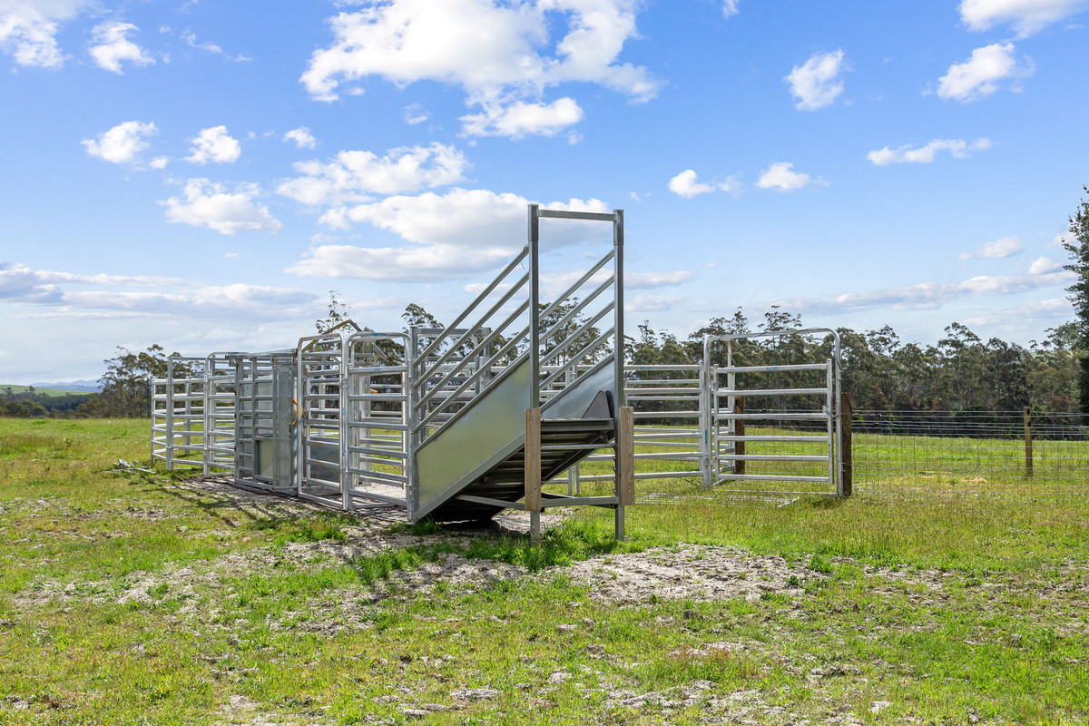 48 Mackenzie Valley Road, Cuckoo, TAS, 7260 - Image 9