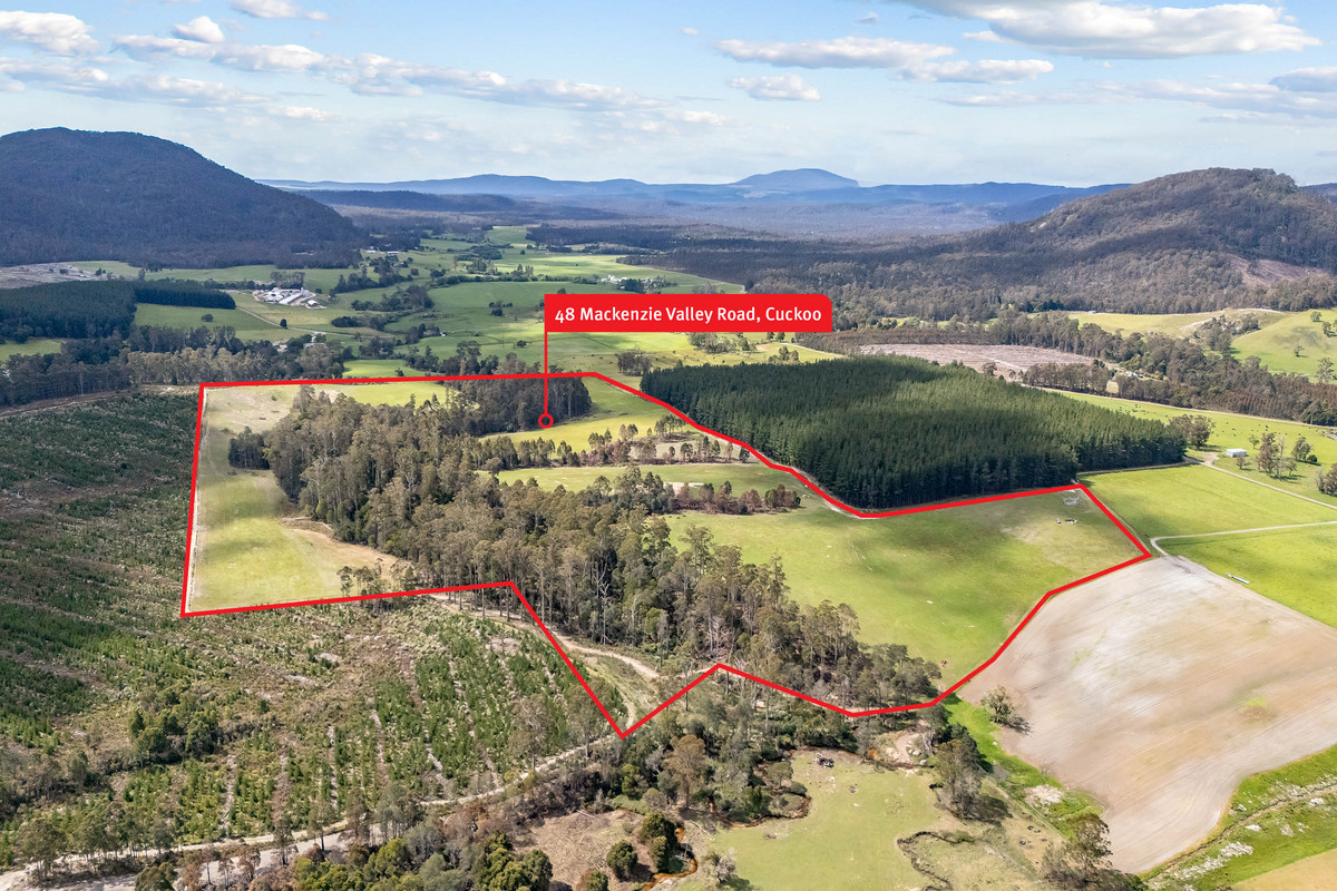 48 Mackenzie Valley Road, Cuckoo, TAS, 7260 - Image 33