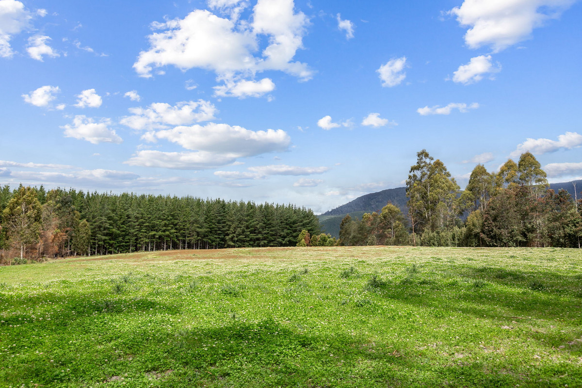 48 Mackenzie Valley Road, Cuckoo, TAS, 7260 - Image 8
