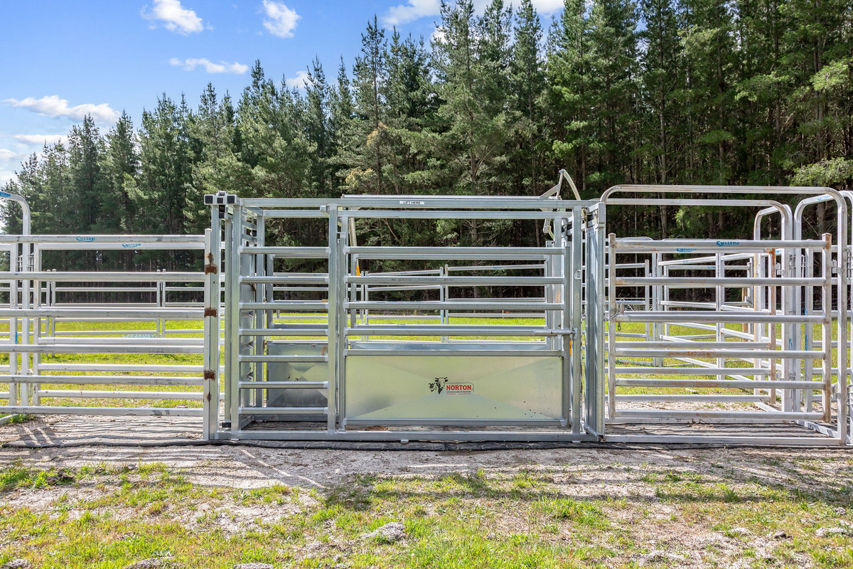 48 Mackenzie Valley Road, Cuckoo, TAS, 7260 - Image 11