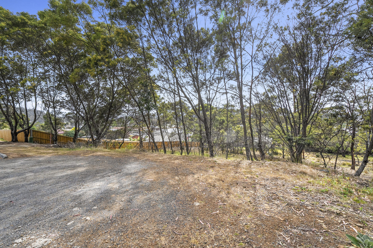 7 Wattle Grove, Orford, TAS, 7190 - Image 2