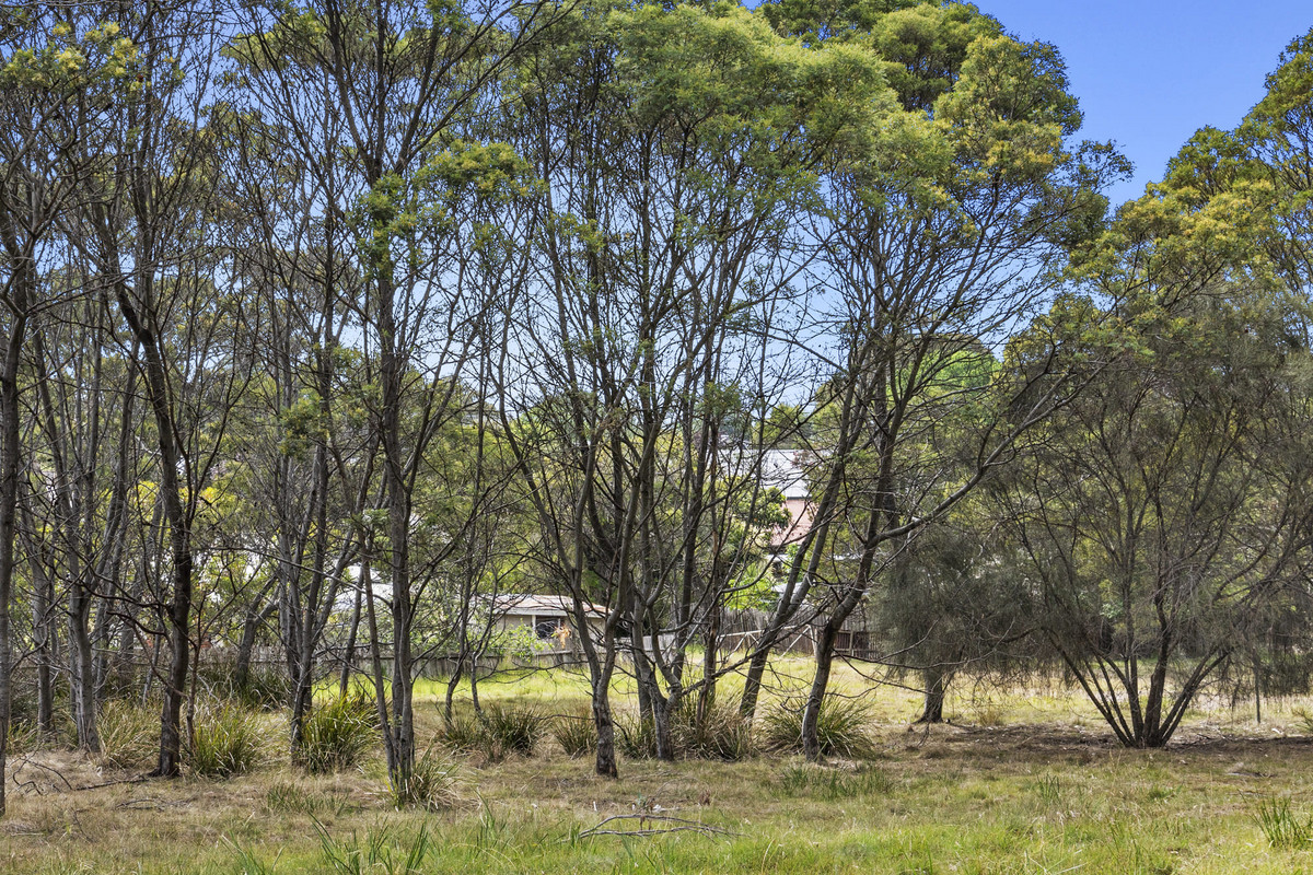 7 Wattle Grove, Orford, TAS, 7190 - Image 5