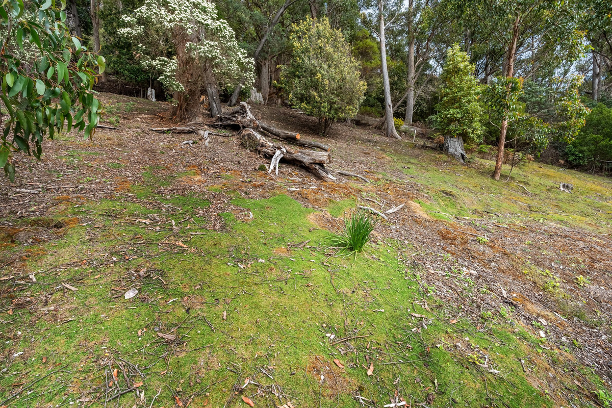 22 Curtis Avenue, South Hobart, TAS, 7004 - Image 27