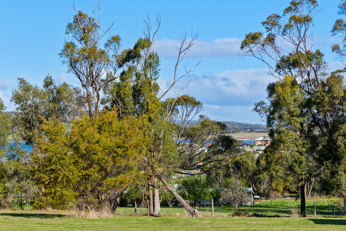3/Lot 3, 41 Imlay Street, Dunalley, TAS, 7177 - Image 4
