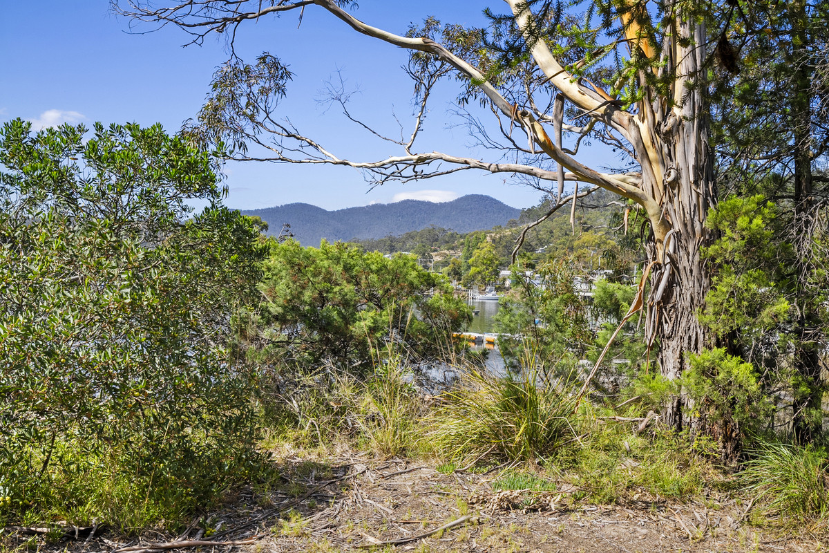 17 Erica Street, Orford, TAS, 7190 - Image 28