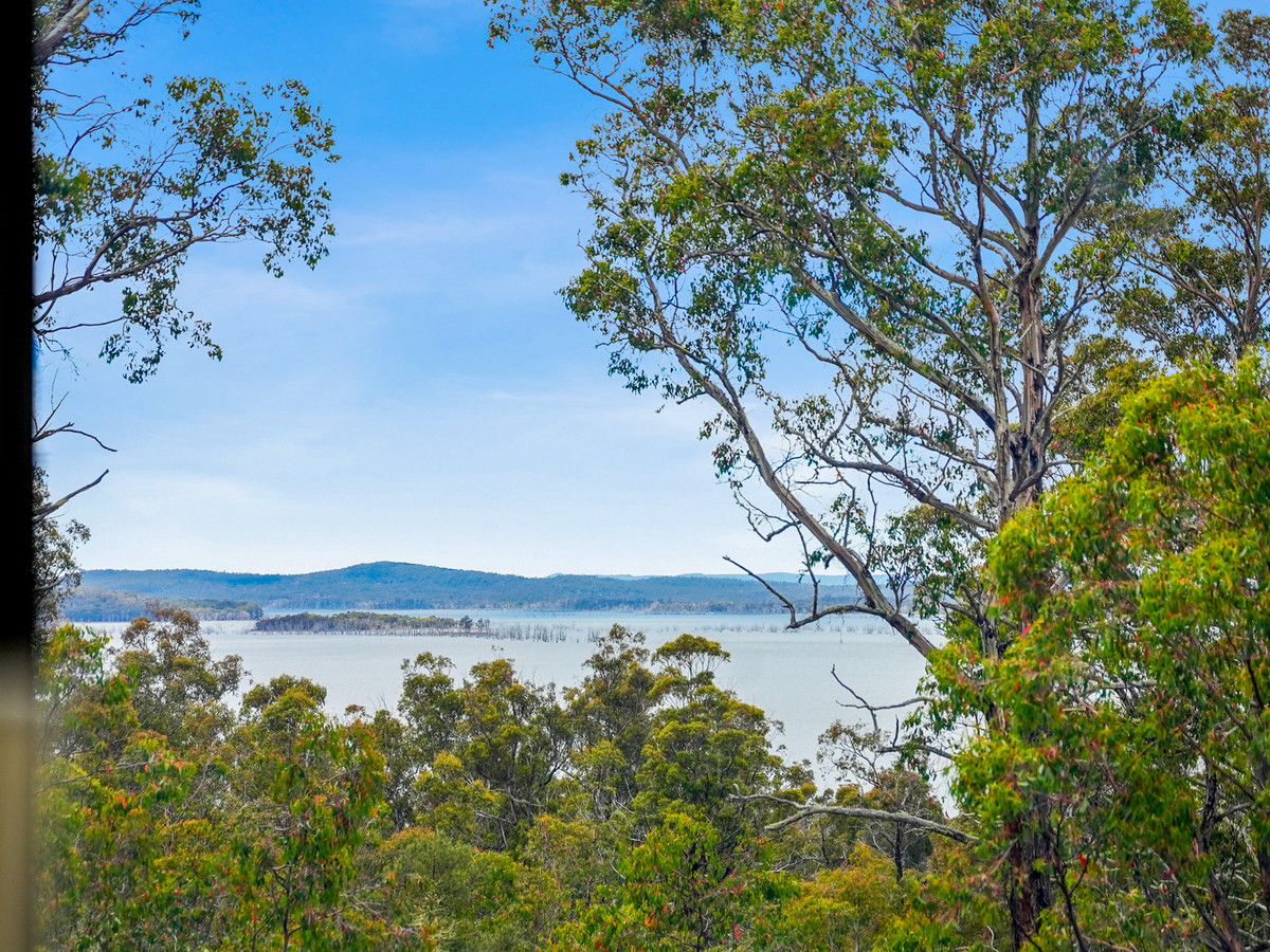 389 Arthurs Lake Road, Arthurs Lake, TAS, 7030 - Image 22