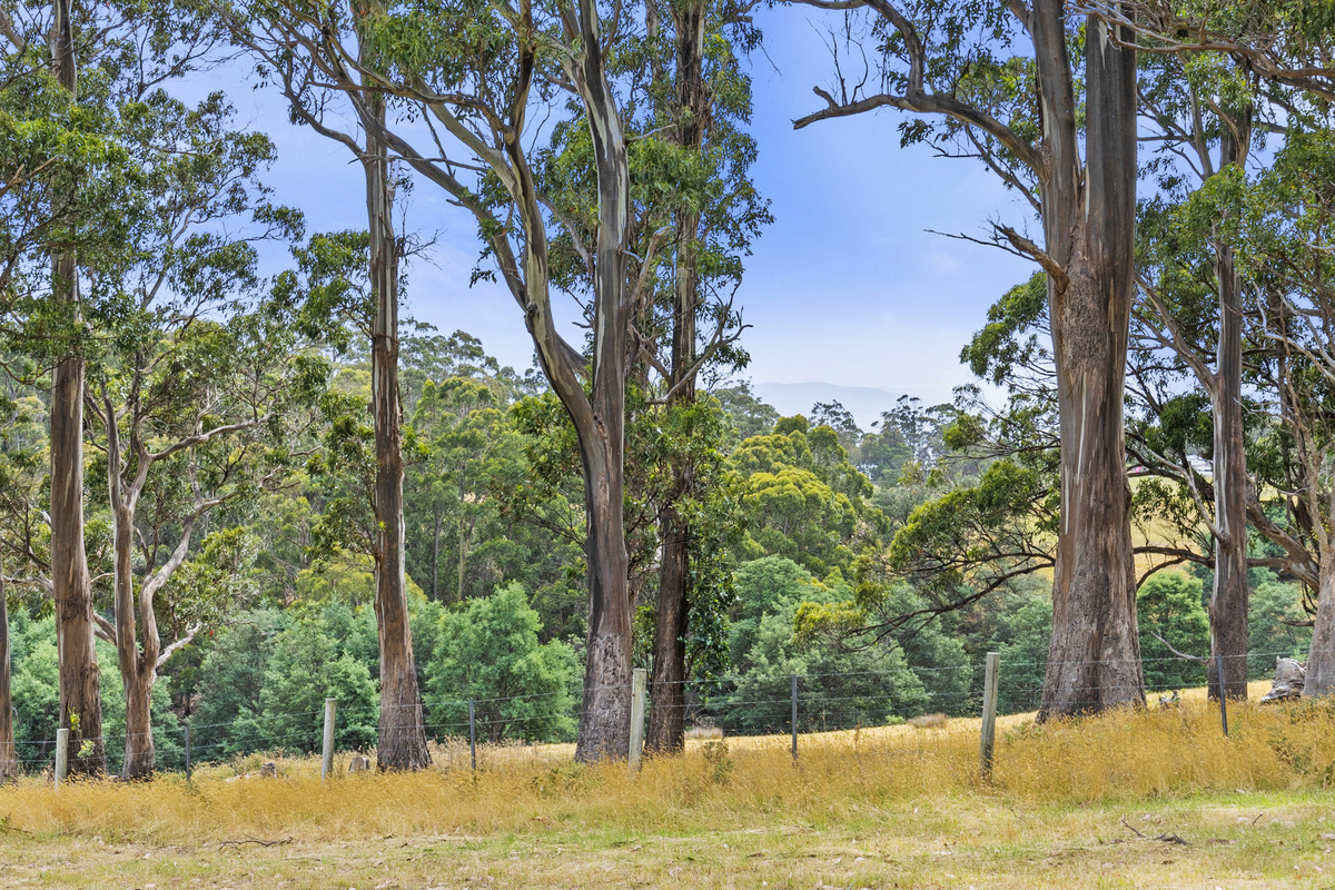 375 Nubeena Back Road, Nubeena, TAS, 7184 - Image 15