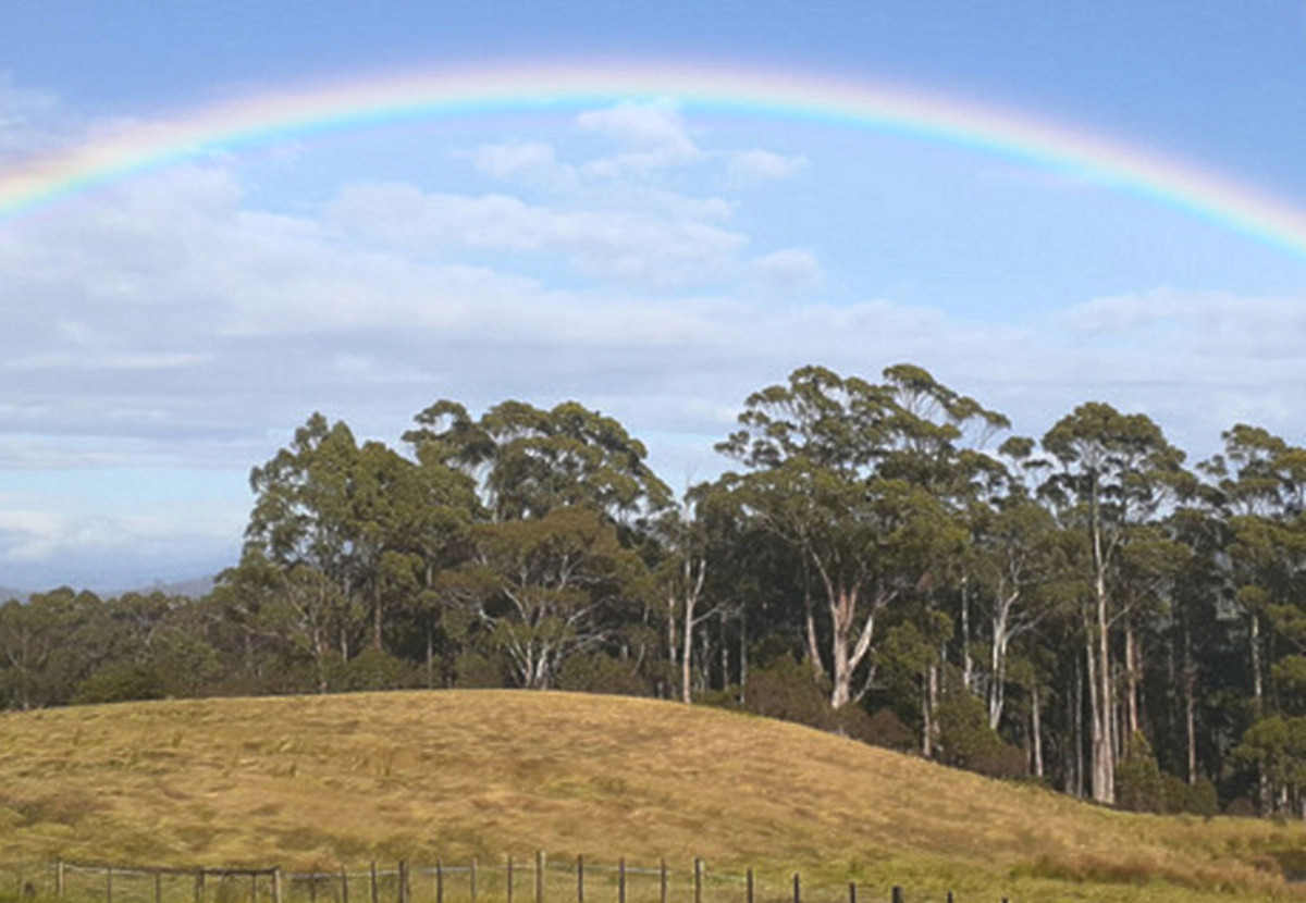 375 Nubeena Back Road, Nubeena, TAS, 7184 - Image 19