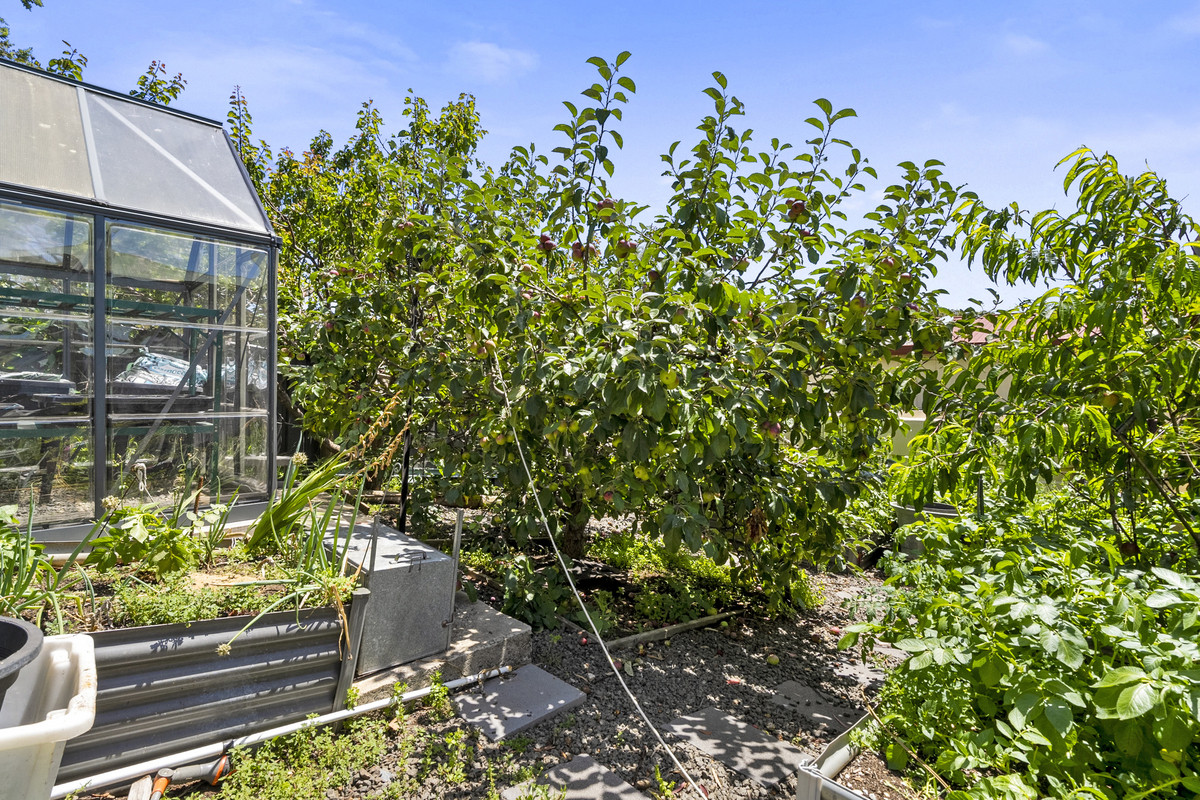 7 Tasman Highway, Swansea, TAS, 7190 - Image 16