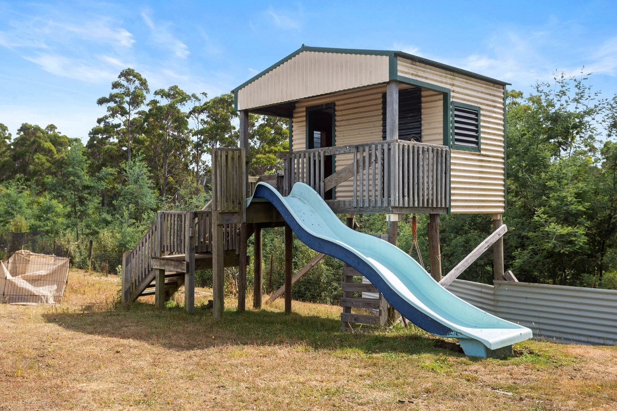 261 & 331 Colgraves Road, Pipers River, TAS, 7252 - Image 15
