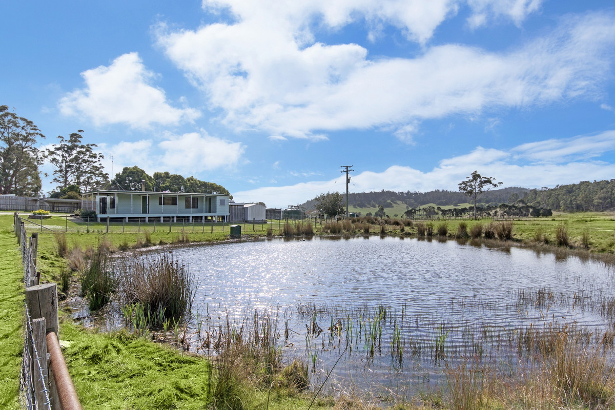 261 & 331 Colgraves Road, Pipers River, TAS, 7252 - Image 1