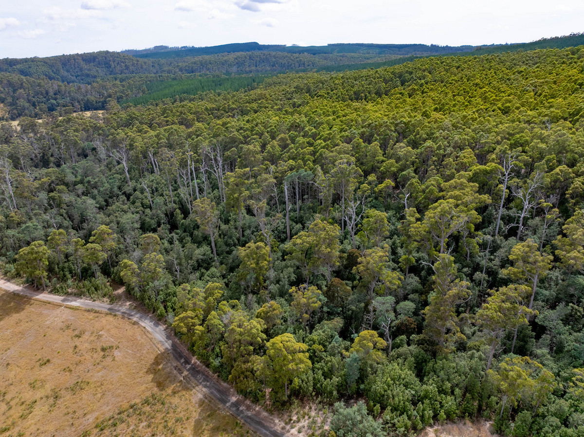 261 & 331 Colgraves Road, Pipers River, TAS, 7252 - Image 12