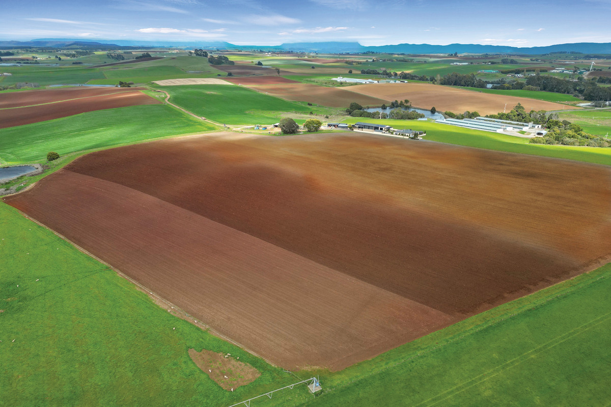 580 Chapel Road, Sassafras, TAS, 7307 - Image 1