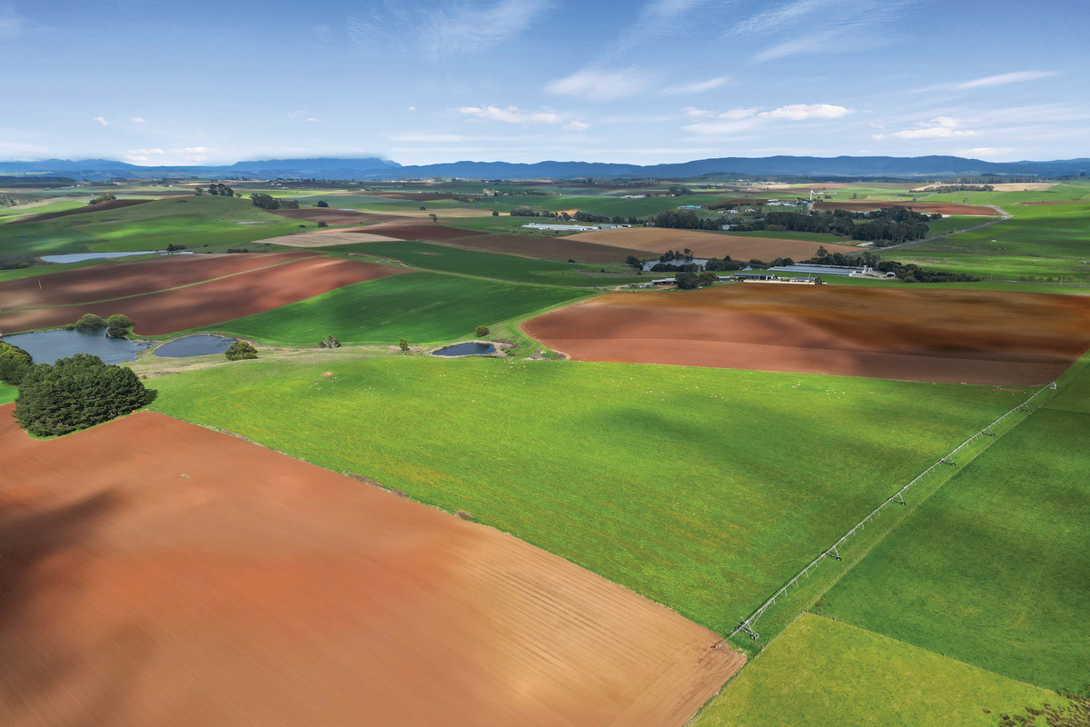 580 Chapel Road, Sassafras, TAS, 7307 - Image 4