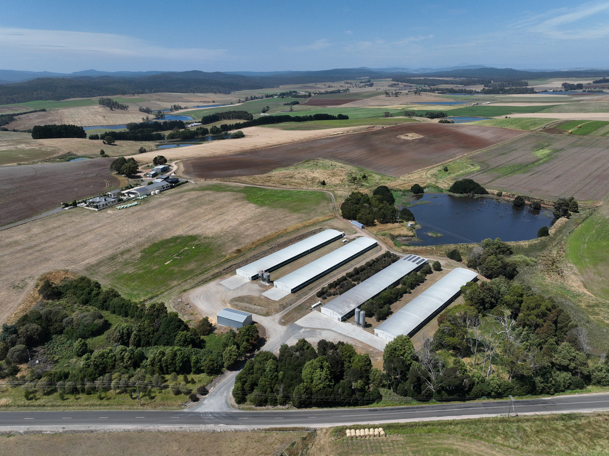 580 Chapel Road, Sassafras, TAS, 7307 - Image 1
