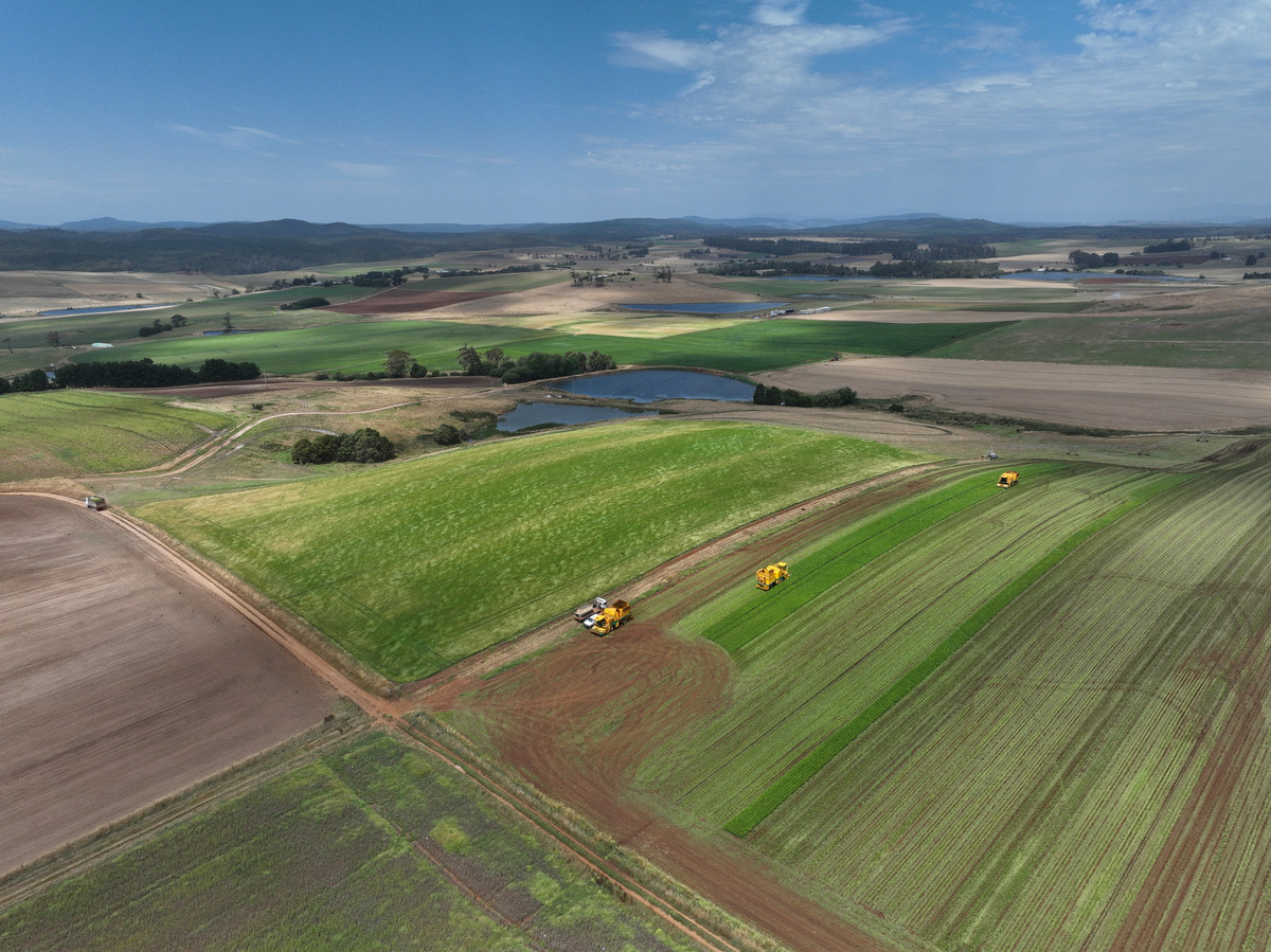 580 Chapel Road, Sassafras, TAS, 7307 - Image 5