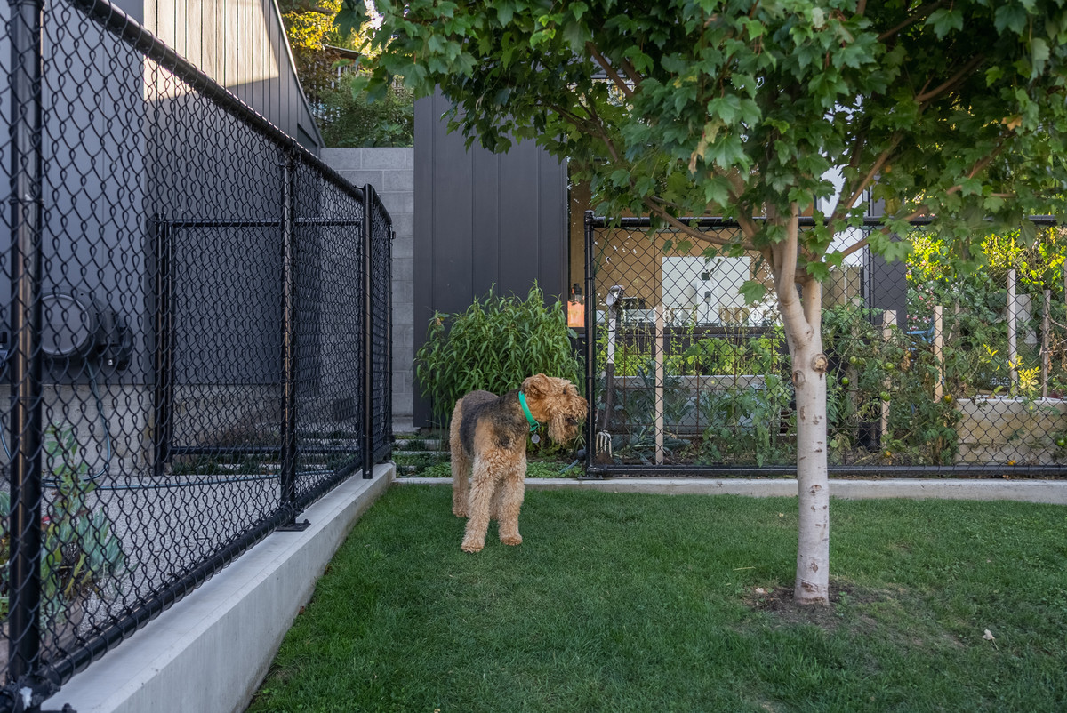 34 Macfie Street, Devonport, TAS, 7310 - Image 31