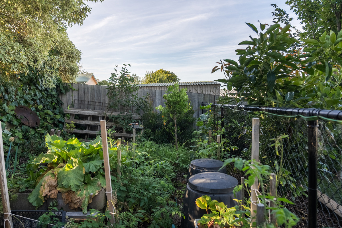 34 Macfie Street, Devonport, TAS, 7310 - Image 33