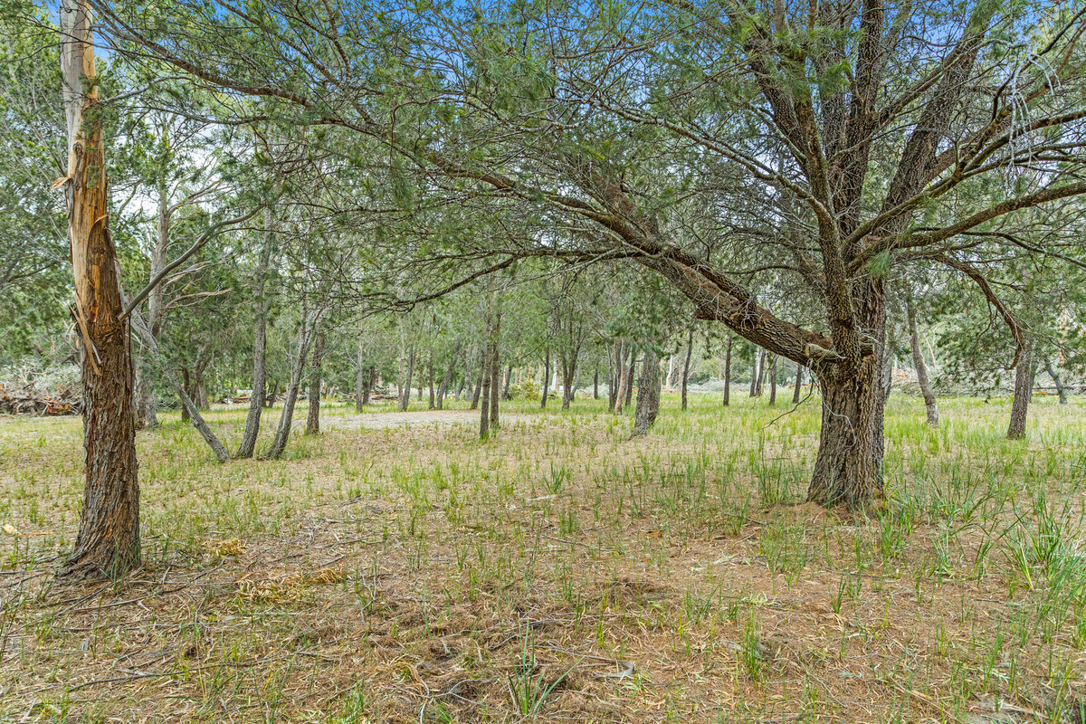1/194 Rheban Road, Orford, TAS, 7190 - Image 13