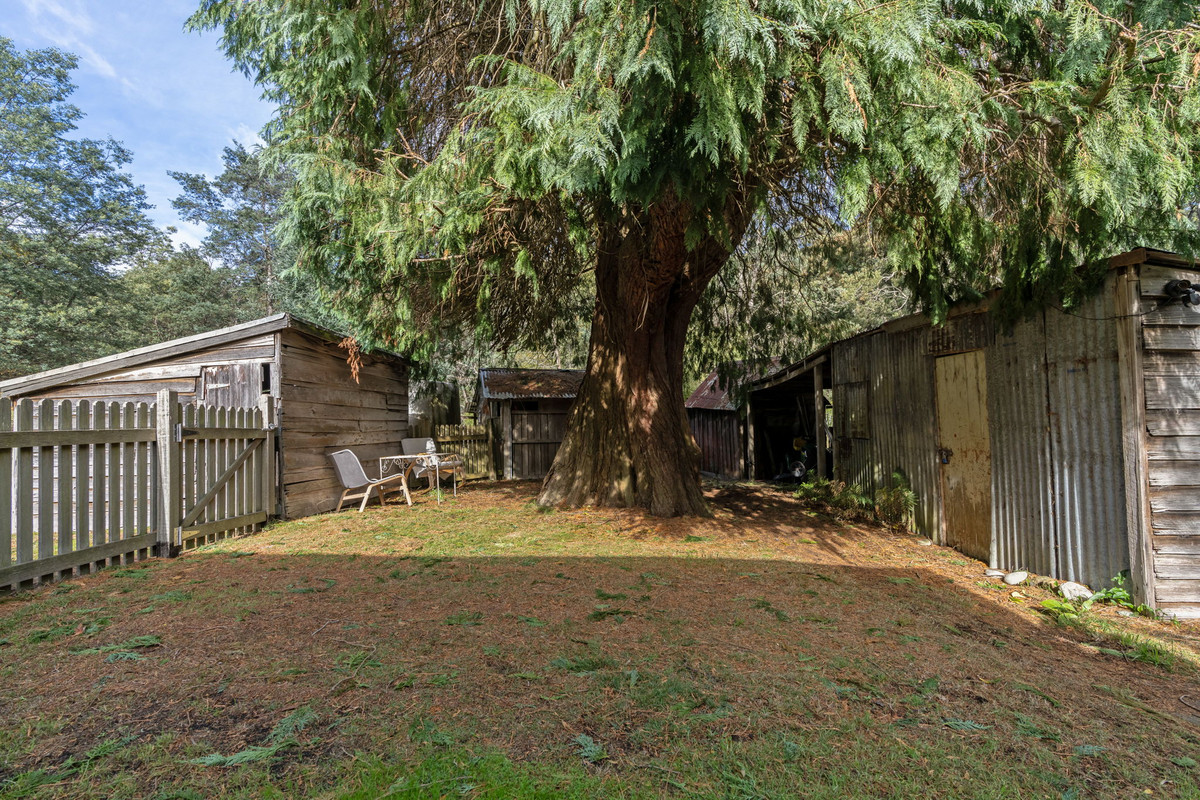 32267 Tasman Highway, Derby, TAS, 7264 - Image 24