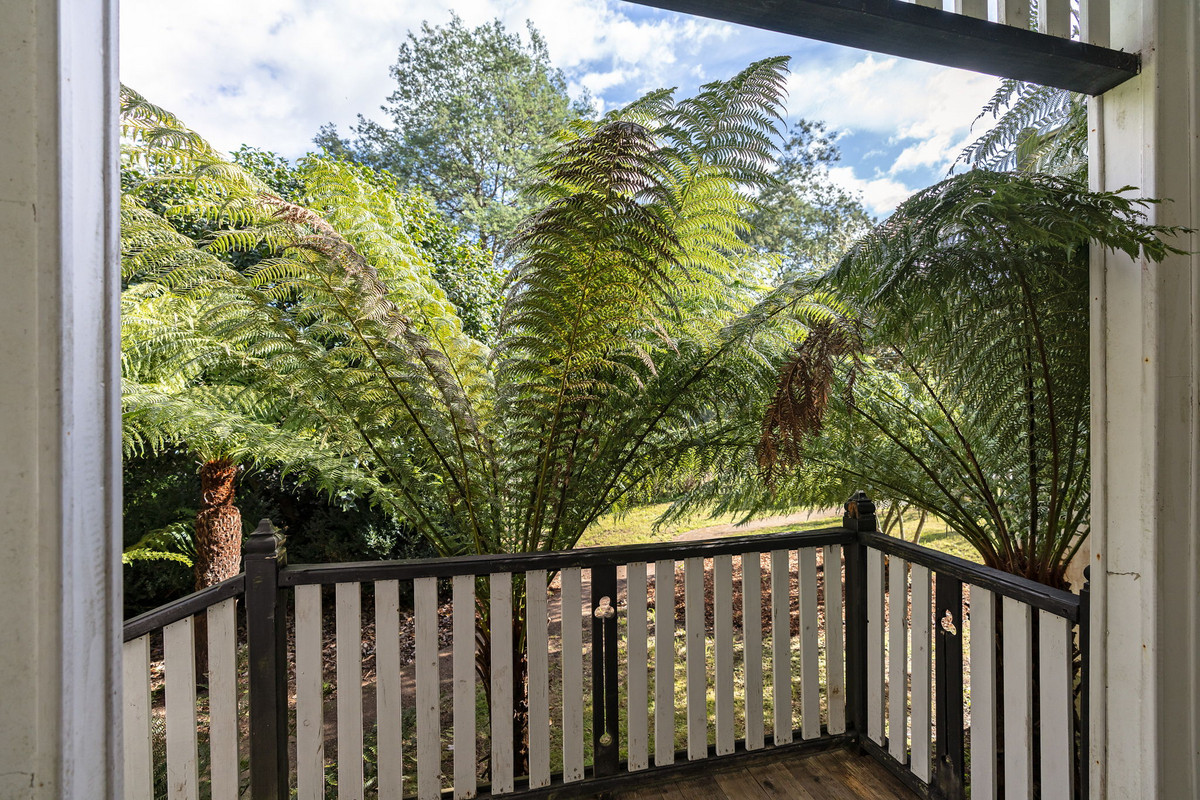 32267 Tasman Highway, Derby, TAS, 7264 - Image 32