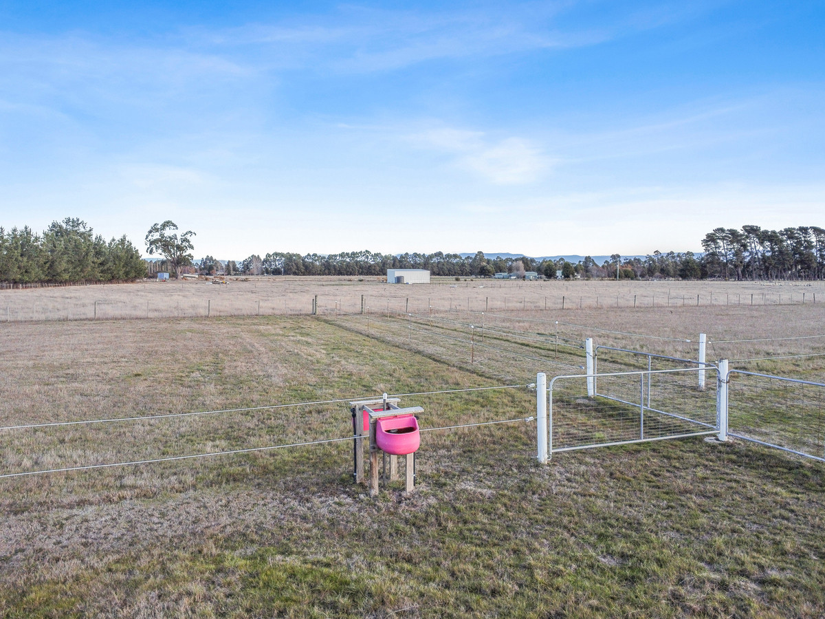 280 Marlborough Street, Longford, TAS, 7301 - Image 21