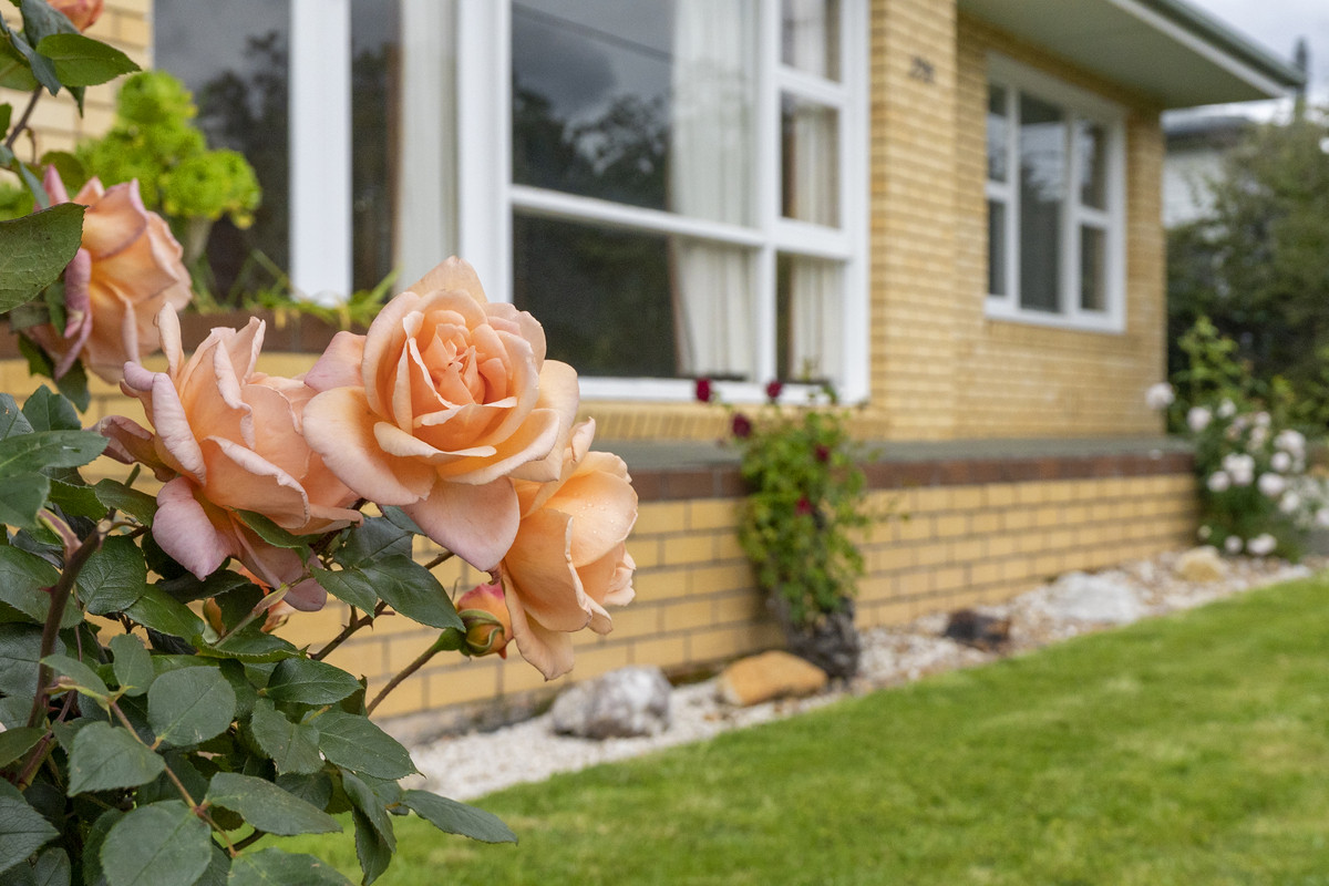 296 East Derwent Highway, Geilston Bay, TAS, 7015 - Image 19