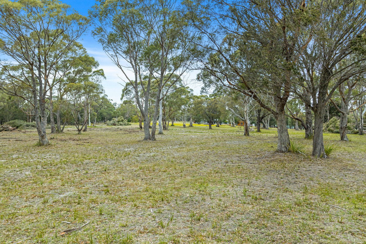 196 Rheban Road, Orford, TAS, 7190 - Image 7