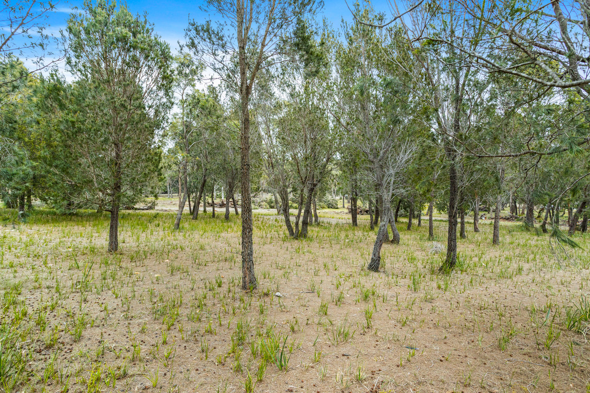 196 Rheban Road, Orford, TAS, 7190 - Image 14