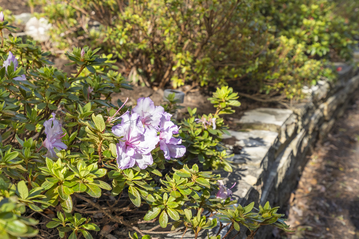 18 Pillinger Drive, Fern Tree, TAS, 7054 - Image 26