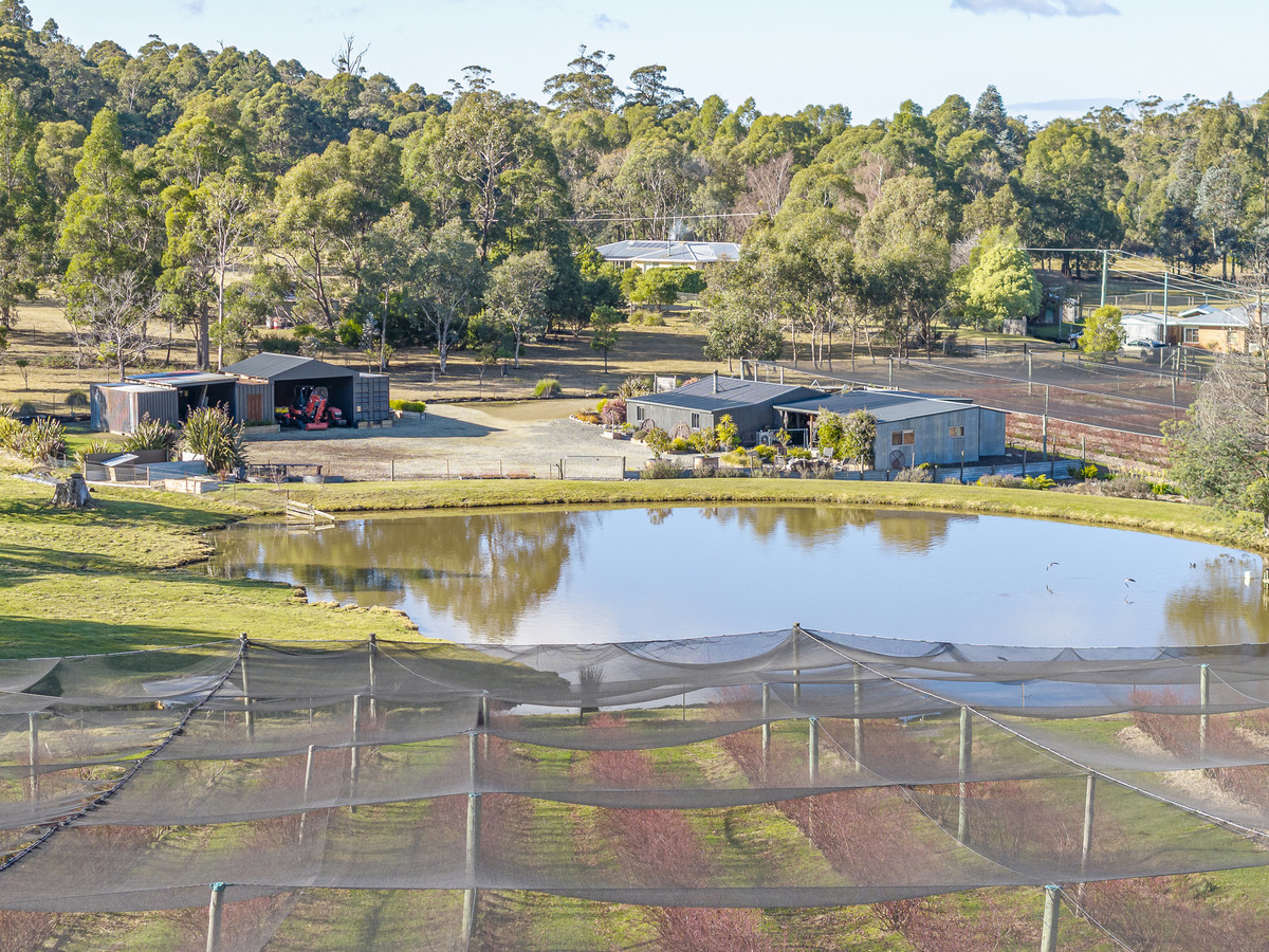 268 Krauses Road, Lower Longley, TAS, 7109 - Image 2