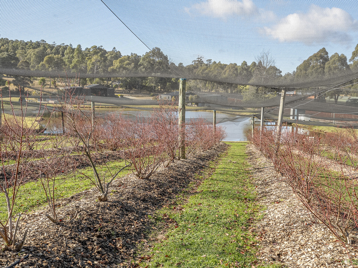 268 Krauses Road, Lower Longley, TAS, 7109 - Image 6