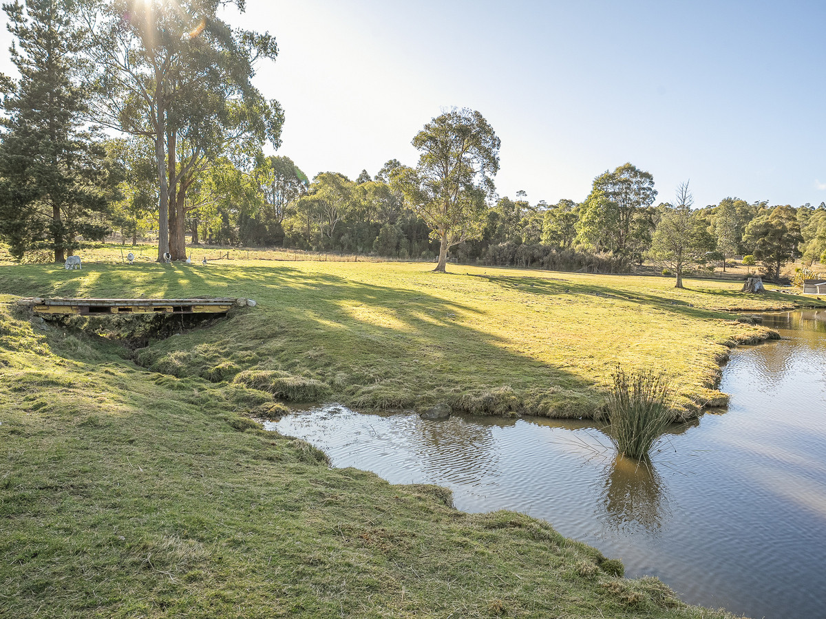 268 Krauses Road, Lower Longley, TAS, 7109 - Image 8