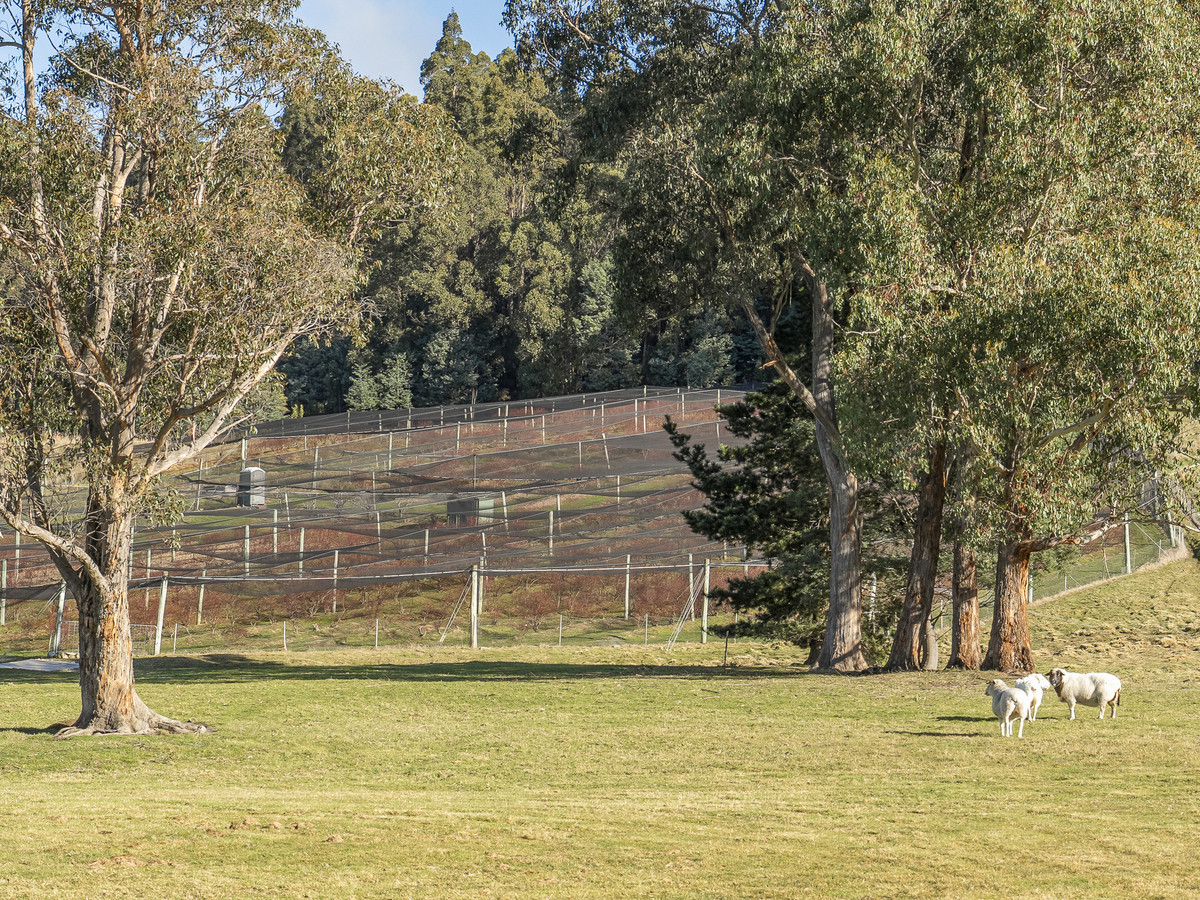 268 Krauses Road, Lower Longley, TAS, 7109 - Image 4