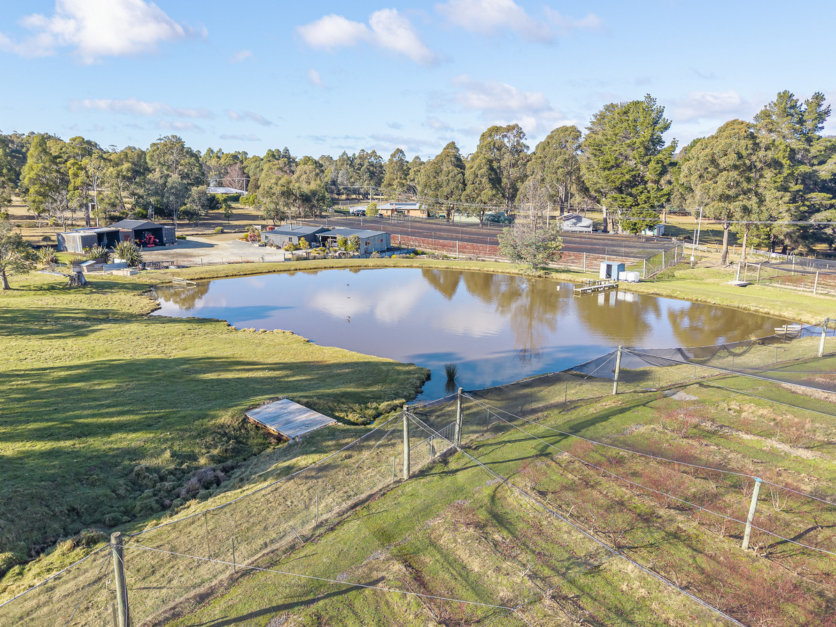 268 Krauses Road, Lower Longley, TAS, 7109 - Image 1