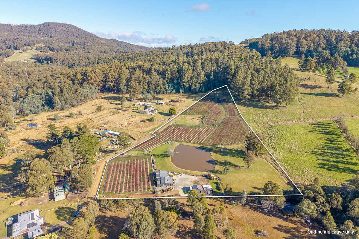 268 Krauses Road, Lower Longley, TAS, 7109 - Image 15
