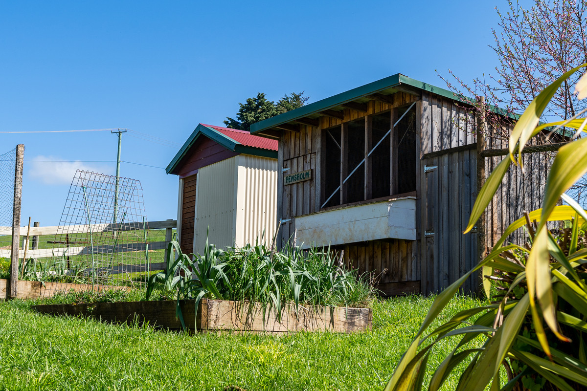 32719 Tasman Highway, Branxholm, TAS, 7261 - Image 14